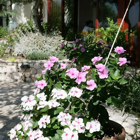 Diva Allsuite Kaş