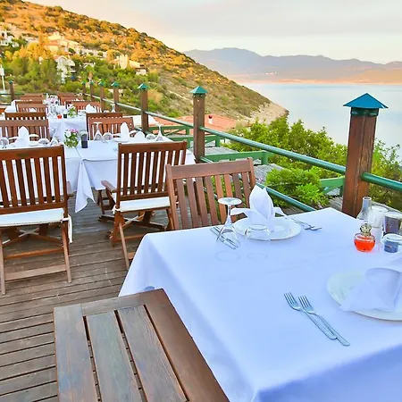 Hotel Diva Allsuite